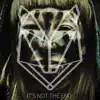 Amarok - It's Not the End - Single